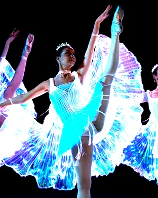 Ballet of Lights: Sleeping Beauty in a Sparkling Show