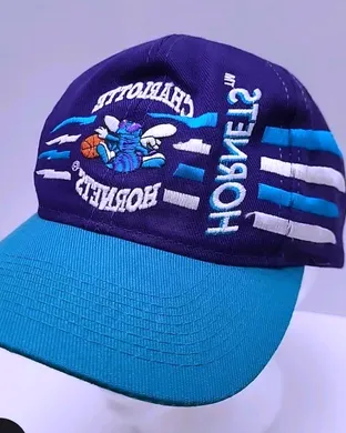 Charlotte Hornets vs. Dallas Mavericks