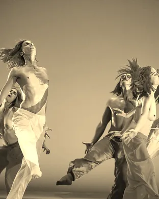 Compagnie Marie Chouinard