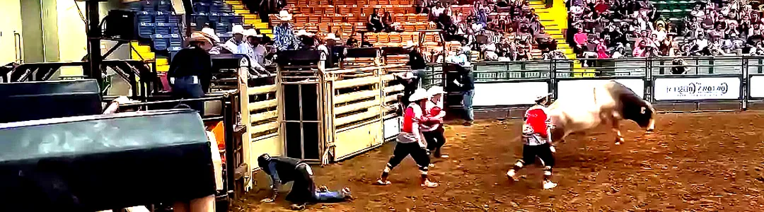 PBR Stockyards Showcase