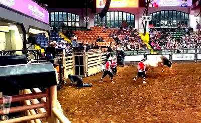 PBR Stockyards Showcase