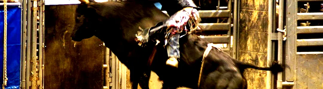 PBR Team Series