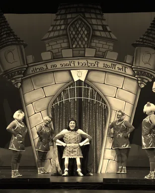 Shrek The Musical Dallas