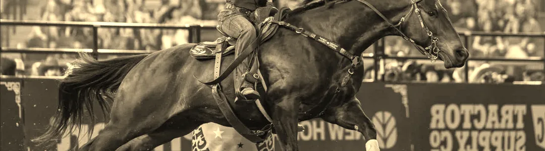 The American Rodeo