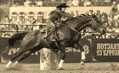 The American Rodeo