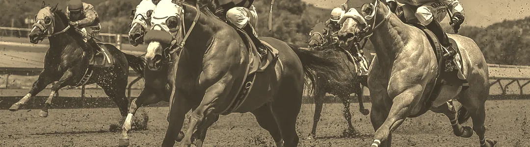 Thoroughbred Racing