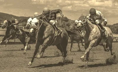 Thoroughbred Racing