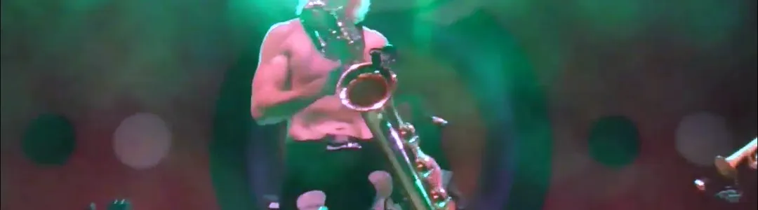 Too Many Zooz