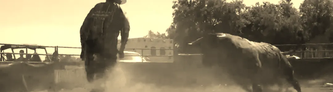 Ultimate Bullfighters
