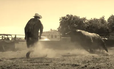 Ultimate Bullfighters
